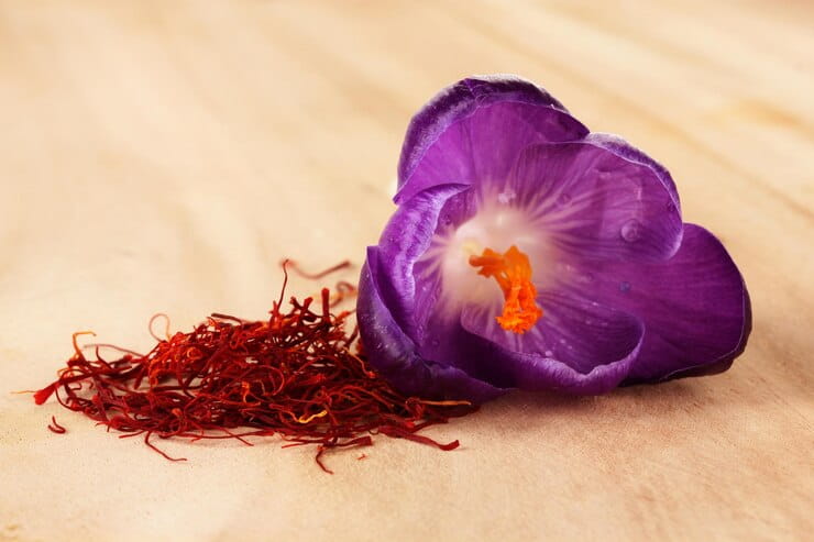 تصویر 4 از خرید و فروش گل زعفران، مقدمه‌ ای بر طلای سرخ صادراتی ایران با شرایط فوق العاده